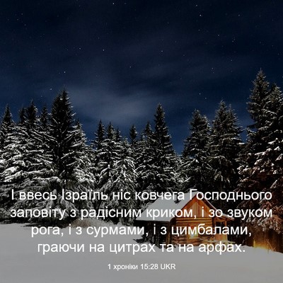 Picture 03 - 1 хроніки 15:28 UKR - І ввесь Ізраїль ніс - Bible Verse Picture