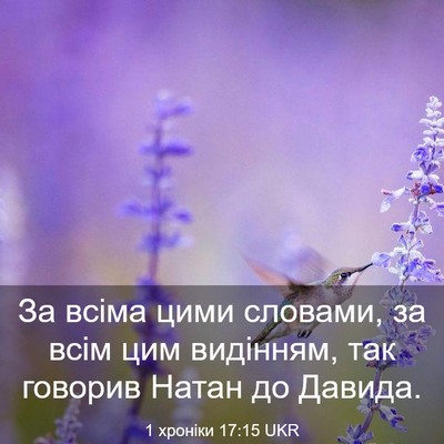 Picture 03 - 1 хроніки 17:15 UKR - За всіма цими словами, за - Bible Verse Picture