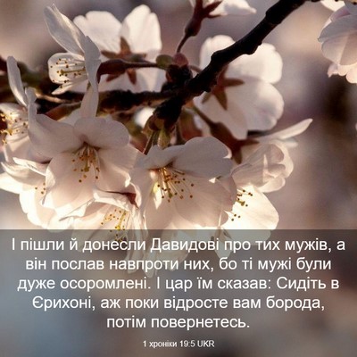 Picture 03 - 1 хроніки 19:5 UKR - І пішли й донесли Давидові - Bible Verse Picture