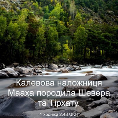 Picture 03 - 1 хроніки 2:48 UKR - Калевова наложниця Мааха - Bible Verse Picture