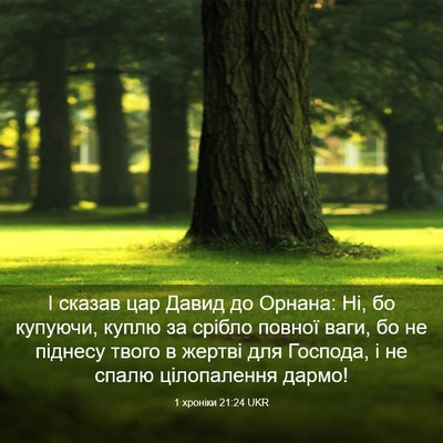 Picture 03 - 1 хроніки 21:24 UKR - І сказав цар Давид до - Bible Verse Picture