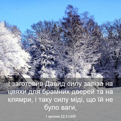 Picture 03 - 1 хроніки 22:3 UKR - І заготовив Давид силу - Bible Verse Picture