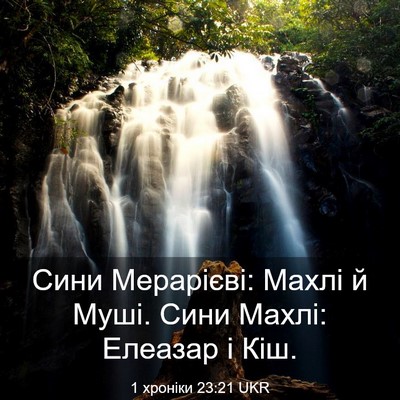 Picture 03 - 1 хроніки 23:21 UKR - Сини Мерарієві: Махлі й - Bible Verse Picture