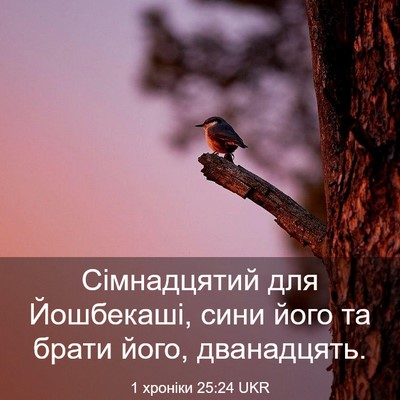 Picture 03 - 1 хроніки 25:24 UKR - Сімнадцятий для Йошбекаші, - Bible Verse Picture
