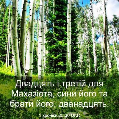 Picture 03 - 1 хроніки 25:30 UKR - Двадцять і третій для - Bible Verse Picture
