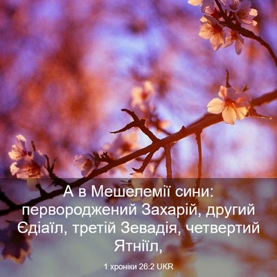 Picture 03 - 1 хроніки 26:2 UKR - А в Мешелемії сини: - Bible Verse Picture