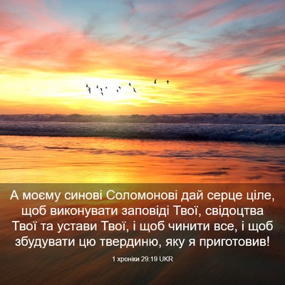 Picture 03 - 1 хроніки 29:19 UKR - А моєму синові Соломонові - Bible Verse Picture