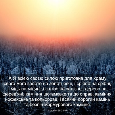 Picture 03 - 1 хроніки 29:2 UKR - А Я всією своєю силою - Bible Verse Picture