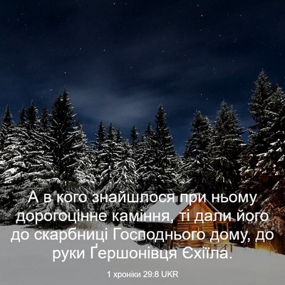 Picture 03 - 1 хроніки 29:8 UKR - А в кого знайшлося при - Bible Verse Picture