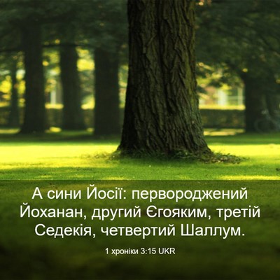 Picture 03 - 1 хроніки 3:15 UKR - А сини Йосії: - Bible Verse Picture