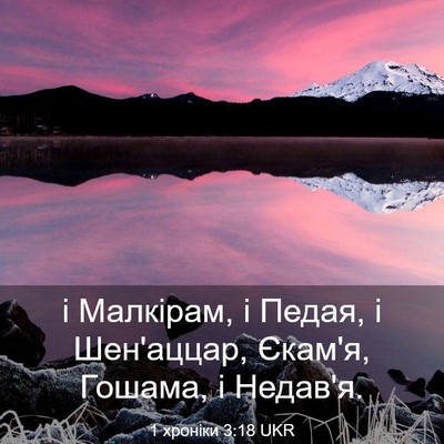 Picture 03 - 1 хроніки 3:18 UKR - і Малкірам, і Педая, і - Bible Verse Picture
