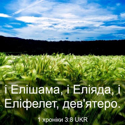 Picture 03 - 1 хроніки 3:8 UKR - і Елішама, і Еліяда, і - Bible Verse Picture