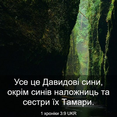 Picture 03 - 1 хроніки 3:9 UKR - Усе це Давидові сини, окрім - Bible Verse Picture