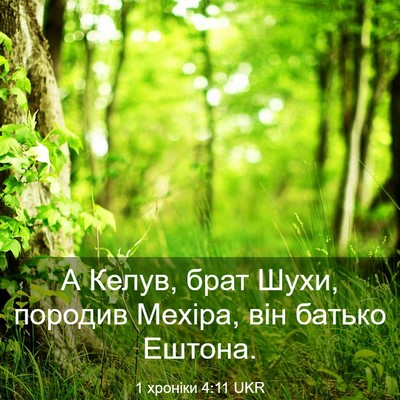 Picture 03 - 1 хроніки 4:11 UKR - А Келув, брат Шухи, породив - Bible Verse Picture
