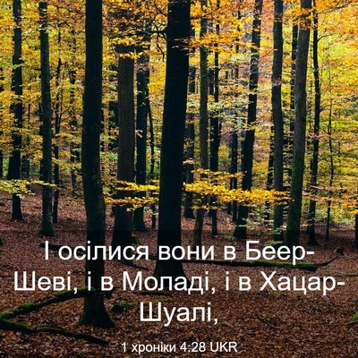 Picture 03 - 1 хроніки 4:28 UKR - І осілися вони в Беер-Шеві, - Bible Verse Picture