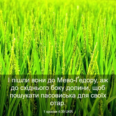 Picture 03 - 1 хроніки 4:39 UKR - І пішли вони до - Bible Verse Picture