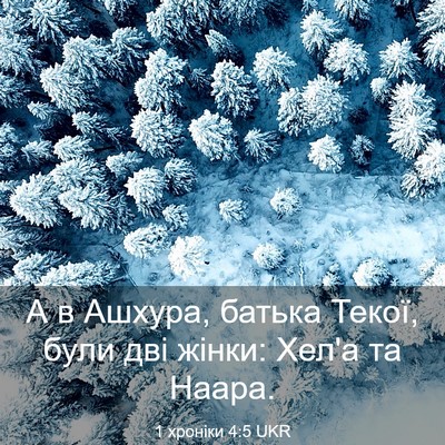 Picture 03 - 1 хроніки 4:5 UKR - А в Ашхура, батька Текої, - Bible Verse Picture