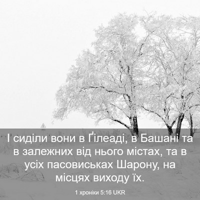 Picture 03 - 1 хроніки 5:16 UKR - І сиділи вони в Ґілеаді, в - Bible Verse Picture