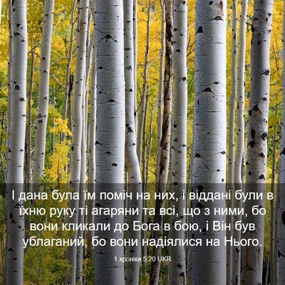 Picture 03 - 1 хроніки 5:20 UKR - І дана була їм поміч на них, - Bible Verse Picture