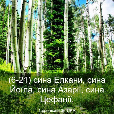 Picture 03 - 1 хроніки 6:36 UKR - (6-21) сина Елкани, сина - Bible Verse Picture