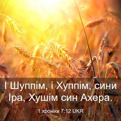 Picture 03 - 1 хроніки 7:12 UKR - І Шуппім, і Хуппім, сини - Bible Verse Picture
