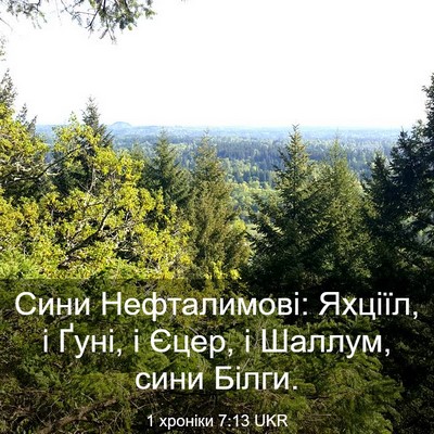 Picture 03 - 1 хроніки 7:13 UKR - Сини Нефталимові: Яхціїл, і - Bible Verse Picture
