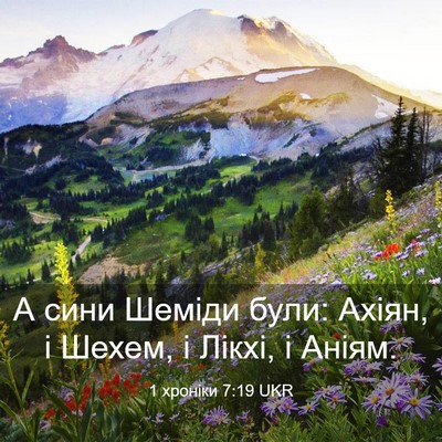 Picture 03 - 1 хроніки 7:19 UKR - А сини Шеміди були: Ахіян, і - Bible Verse Picture