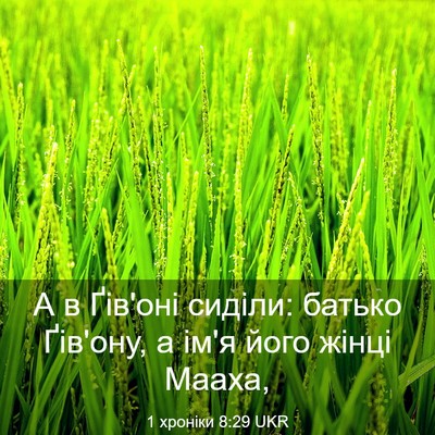 Picture 03 - 1 хроніки 8:29 UKR - А в Ґів'оні сиділи: батько - Bible Verse Picture