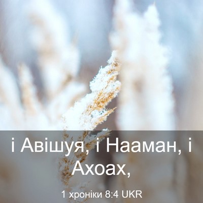 Picture 03 - 1 хроніки 8:4 UKR - і Авішуя, і Нааман, і - Bible Verse Picture
