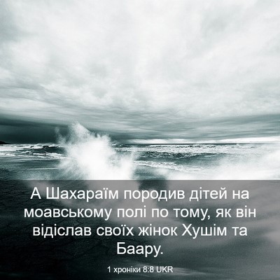 Picture 03 - 1 хроніки 8:8 UKR - А Шахараїм породив дітей - Bible Verse Picture