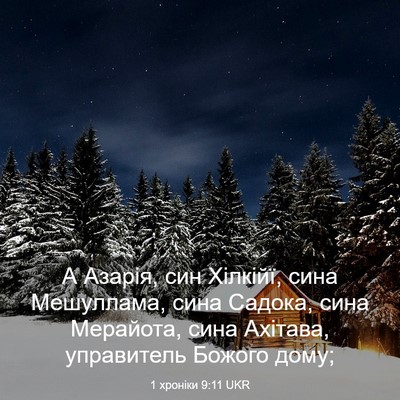Picture 03 - 1 хроніки 9:11 UKR - А Азарія, син Хілкійї, сина - Bible Verse Picture