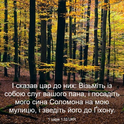 Picture 03 - 1 царів 1:33 UKR - І сказав цар до них: - Bible Verse Picture