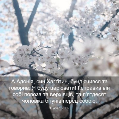 Picture 03 - 1 царів 1:5 UKR - А Адонія, син Хаґґітин, - Bible Verse Picture