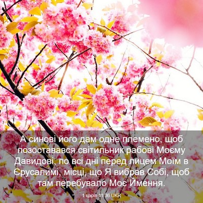 Picture 03 - 1 царів 11:36 UKR - А синові його дам одне - Bible Verse Picture