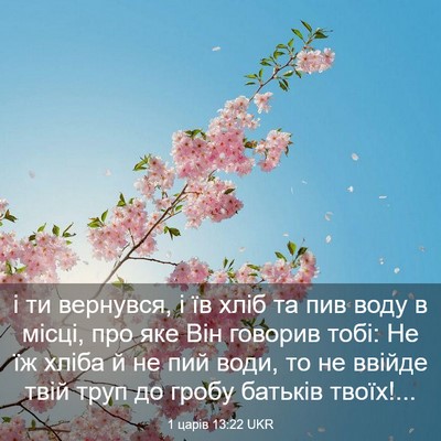 Picture 03 - 1 царів 13:22 UKR - і ти вернувся, і їв хліб та - Bible Verse Picture