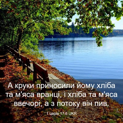 Picture 03 - 1 царів 17:6 UKR - А круки приносили йому - Bible Verse Picture