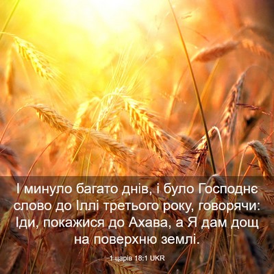 Picture 03 - 1 царів 18:1 UKR - І минуло багато днів, і - Bible Verse Picture