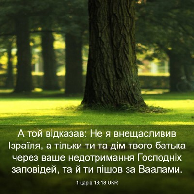 Picture 03 - 1 царів 18:18 UKR - А той відказав: Не я - Bible Verse Picture