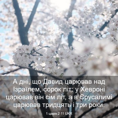 Picture 03 - 1 царів 2:11 UKR - А дні, що Давид царював над - Bible Verse Picture