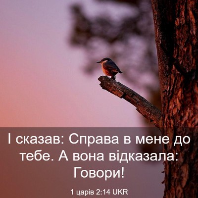 Picture 03 - 1 царів 2:14 UKR - І сказав: Справа в мене до - Bible Verse Picture
