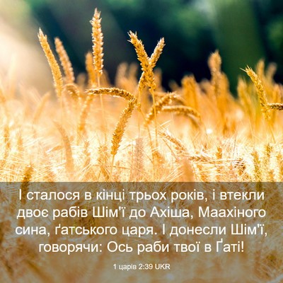 Picture 03 - 1 царів 2:39 UKR - І сталося в кінці трьох - Bible Verse Picture