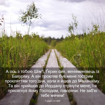 Picture 03 - 1 царів 2:8 UKR - А ось з тобою Шім'ї, Ґерин - Bible Verse Picture