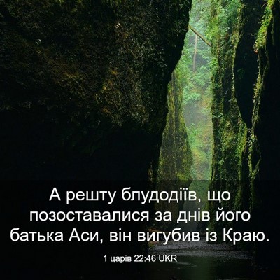 Picture 03 - 1 царів 22:46 UKR - А решту блудодіїв, що - Bible Verse Picture