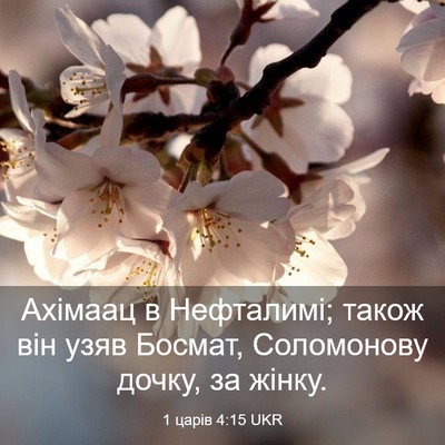 Picture 03 - 1 царів 4:15 UKR - Ахімаац в Нефталимі; також - Bible Verse Picture
