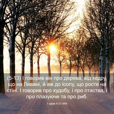 Picture 03 - 1 царів 4:33 UKR - (5-13) І говорив він про - Bible Verse Picture