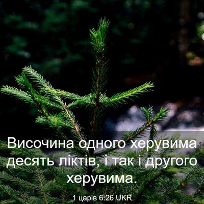 Picture 03 - 1 царів 6:26 UKR - Височина одного херувима - Bible Verse Picture