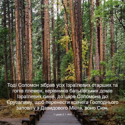 Picture 03 - 1 царів 8:1 UKR - Тоді Соломон зібрав усіх - Bible Verse Picture