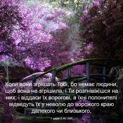 Picture 03 - 1 царів 8:46 UKR - Коли вони згрішать Тобі, бо - Bible Verse Picture