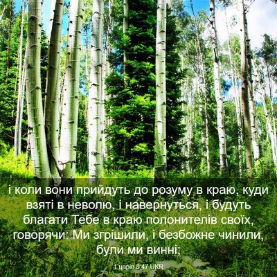 Picture 03 - 1 царів 8:47 UKR - і коли вони прийдуть до - Bible Verse Picture