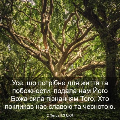 Picture 03 - 2 Петра 1:3 UKR - Усе, що потрібне для життя - Bible Verse Picture
